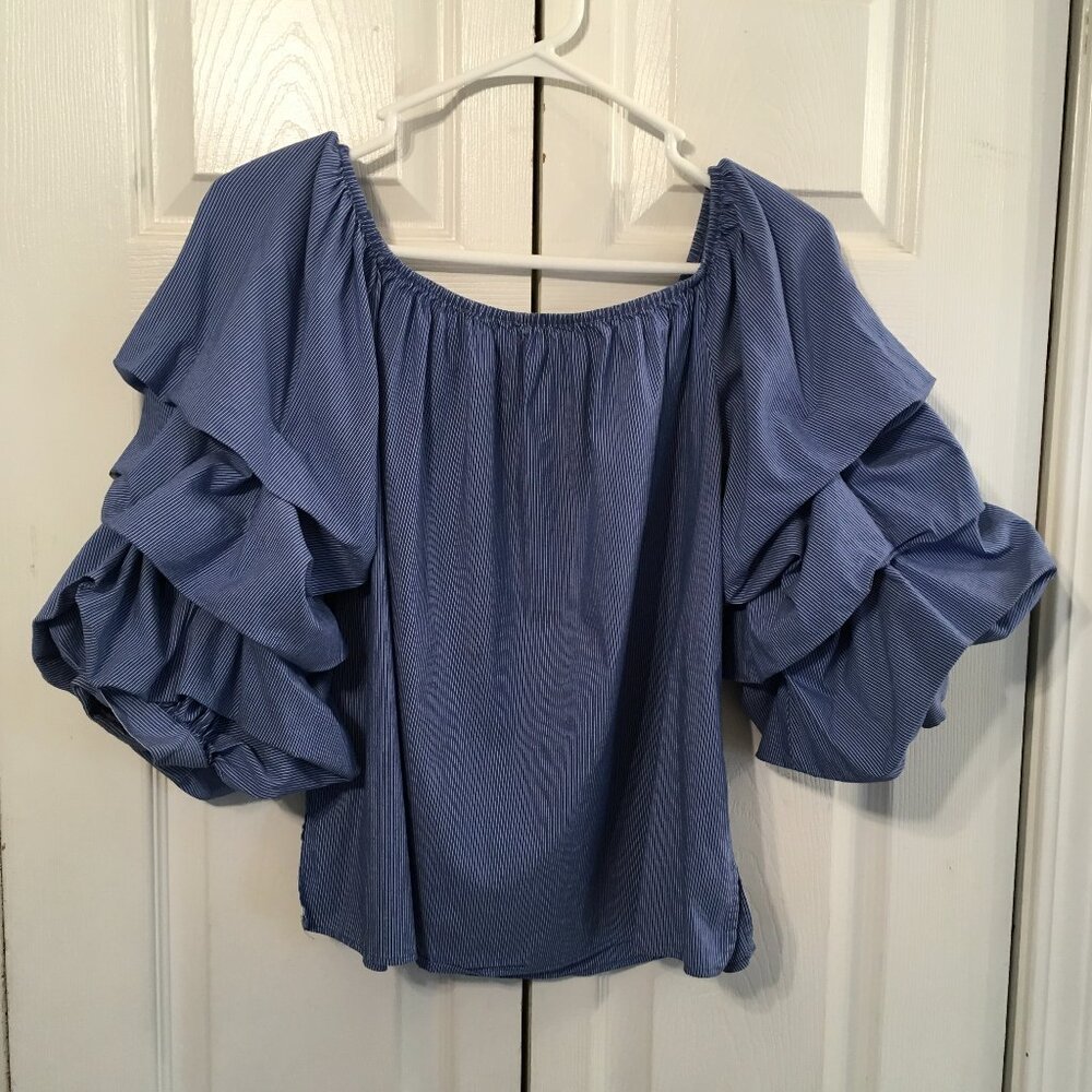 Zara Ruffle Sleeve Top
